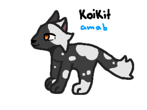 KoiKit application!