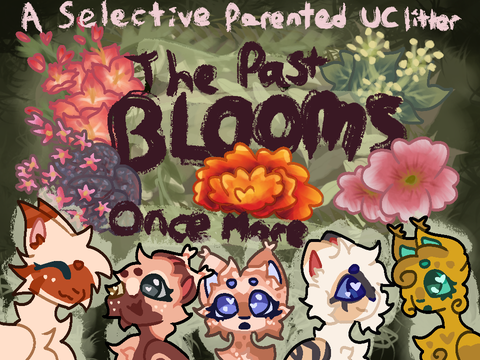 Open!]] ꧁ The past blooms once more - A S P UC litter ꧂