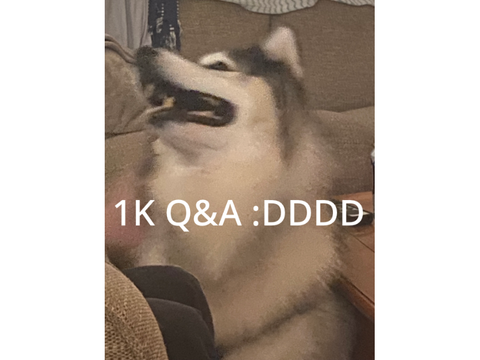 1K Q&A (questions)