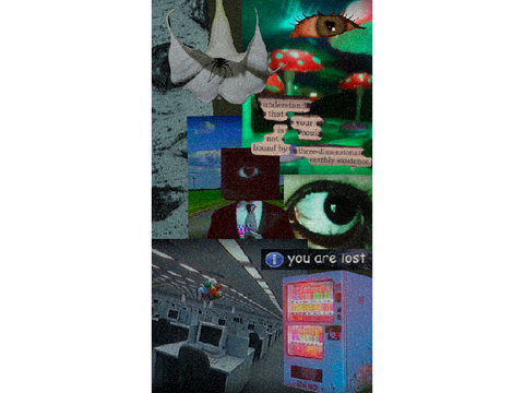 weirdcore wallpaper (f2u)