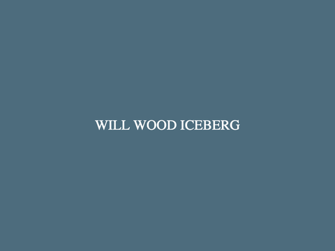 Arwyn's Will Wood iceberg WIP
