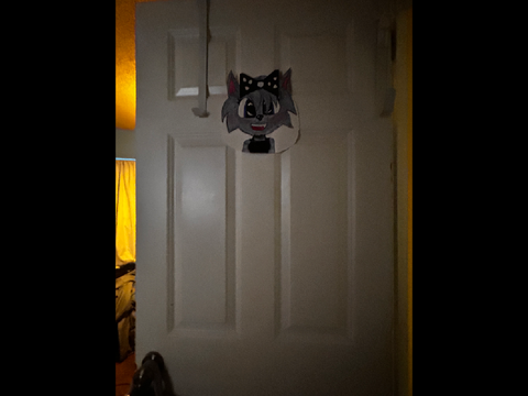 Made my own Digital Circus Character Door