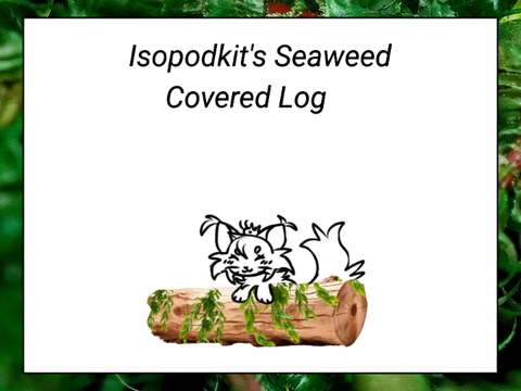 ☀Isopodkit's Seaweed Covered Log☀