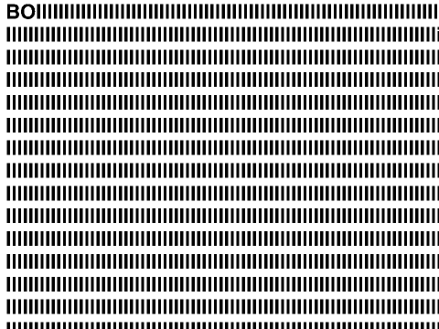The Worlds Longest BOI