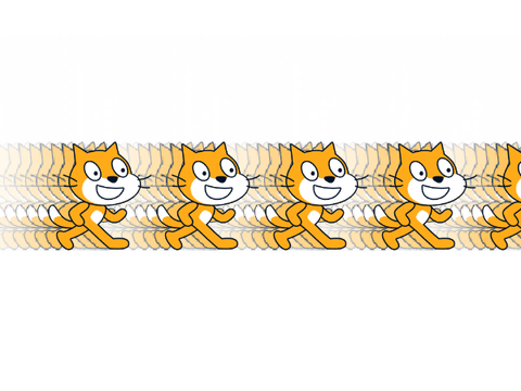 cat trail