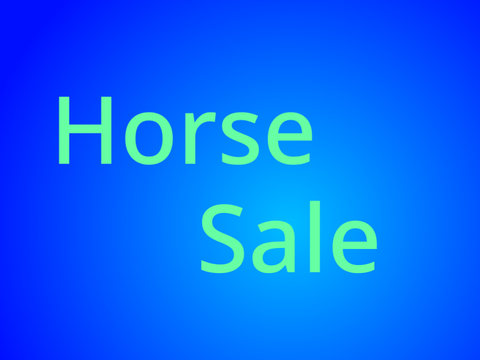 (Late) 100 follower and 1 year horse sale 