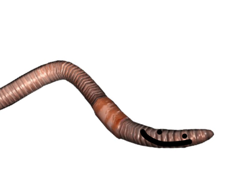 I like earthworms