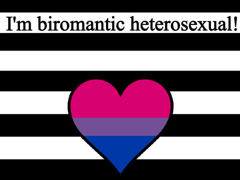 My Boyfriend And I Are Biromantic Heterosexual! :3