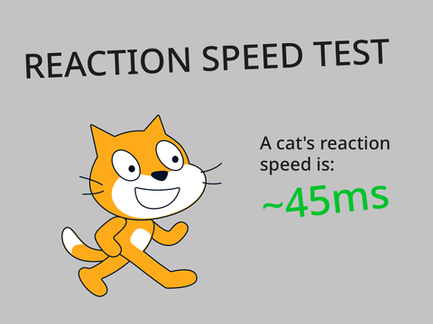 Reaction Speed