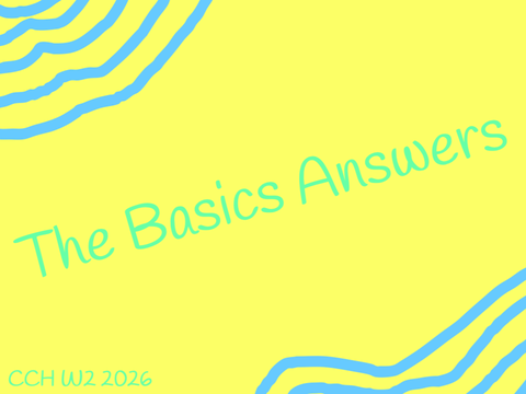 The Basics Answers CCH W2