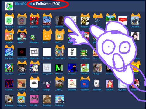 800 followers