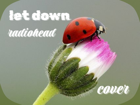 let down ✦ cover