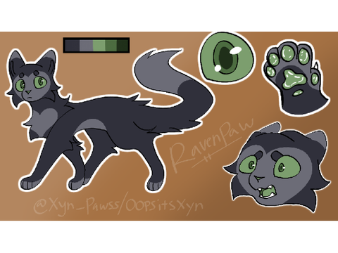 Ravenpaw design for an amv
