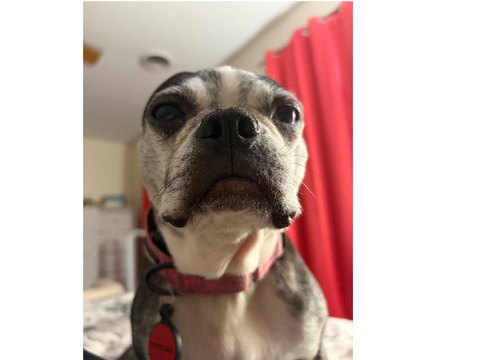 What could she possibly want