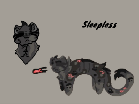 ⊹ ࣪ ˖ Sleeplesskit ⋆˚꩜｡