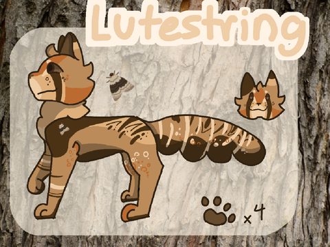 Lutestringkit's Lies