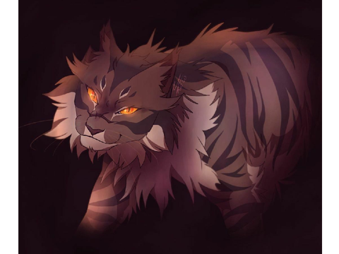 Eye of the tiger---star