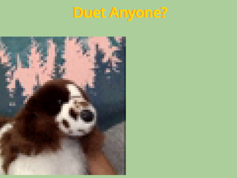 Duet Anyone? (how to make a video)