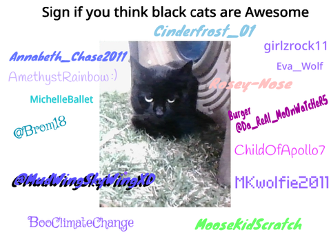 Sign if you think black cats are AWESOME 