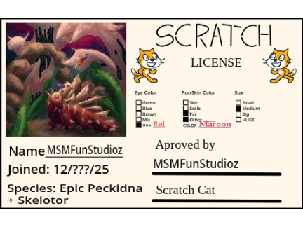 Scratch License for MSMFunStudioz (Me)