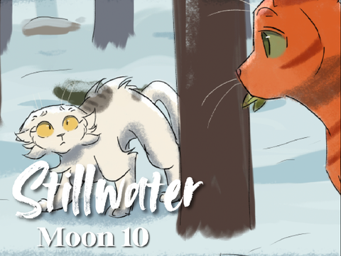 Moon 10 | Stillwater