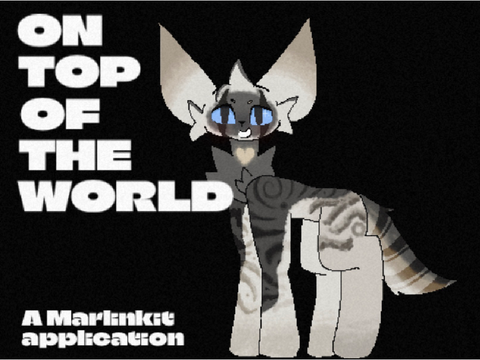❝ on top of the world ❞ ᯓ a marlinkit application