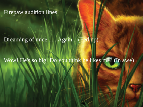 My Audition for Firepaw!