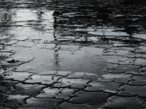 Why bother - a poem