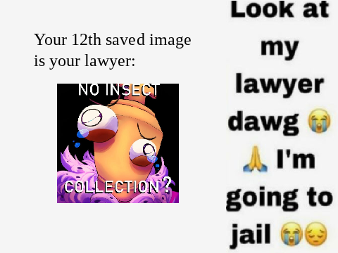 Your 12th Saved Image is Your Lawyer remix