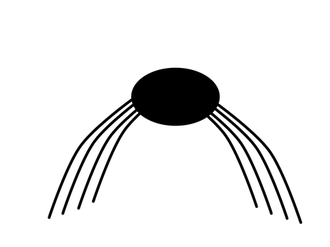 Spider…