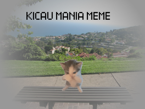 KICAU MANIA MEME