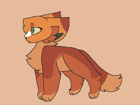 Thunder sun Ref 2026