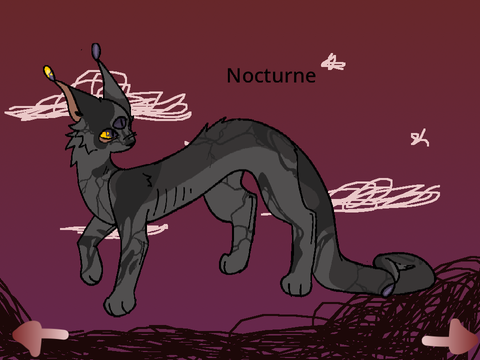 FORUM | “That’s what I do, I wait for you.” Nocturne Application