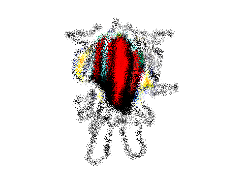 HELP_BinaryCoder12 type 1