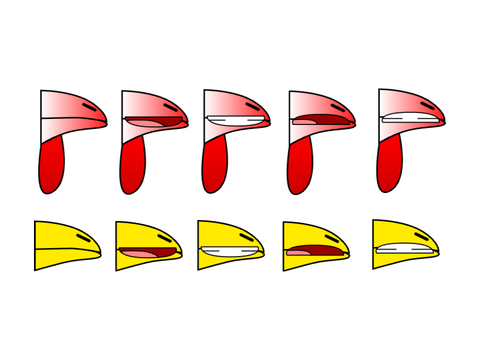 My mouth assets: Part 2 [Improved]