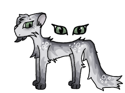 Pretty Kitty <3