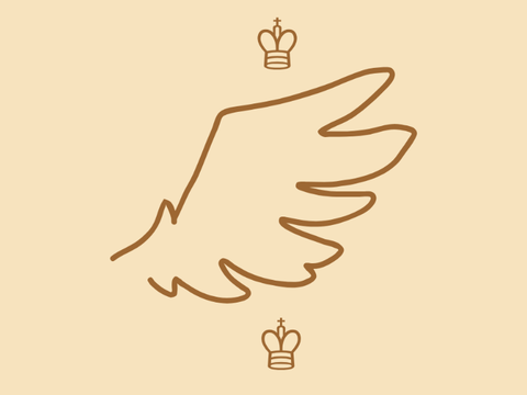 ♔ 
