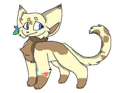 Dandelionspring