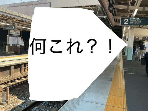 何かがいた