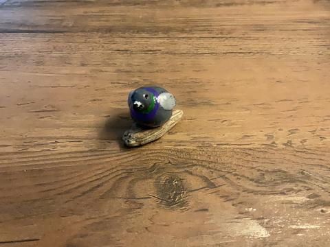 !! TINY PIGEON OMG !!