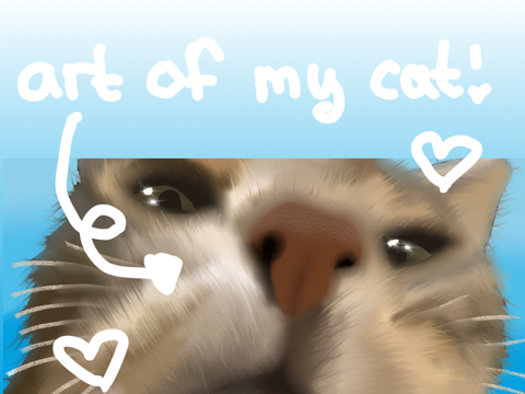 art of my cat yippee !