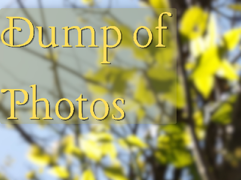 Dump of Photos