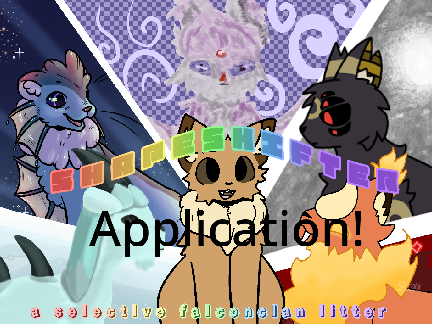 Mirror Mirror On The Wall! - Application!!!