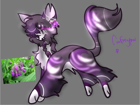 Comfreypaw :D