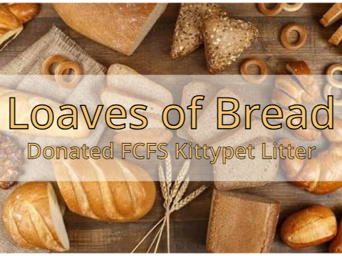 [Closed] « Loaves of Bread» Donated FCFS Kittypet Litter