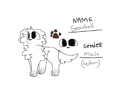 Snowball