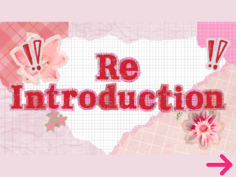 Re-introduction (Update!)