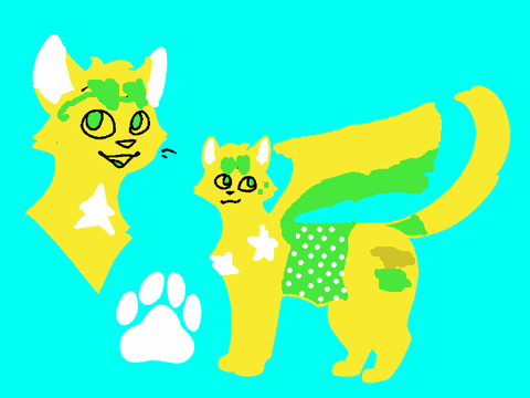 What I made