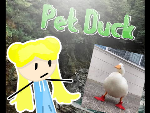 pet duck #animations