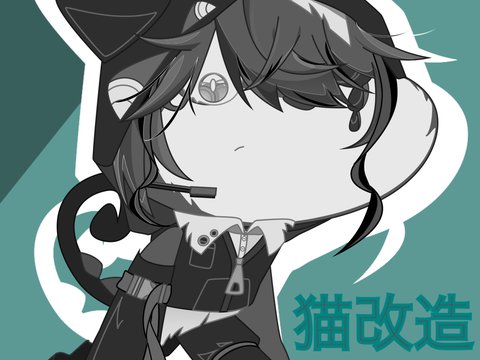 猫改造